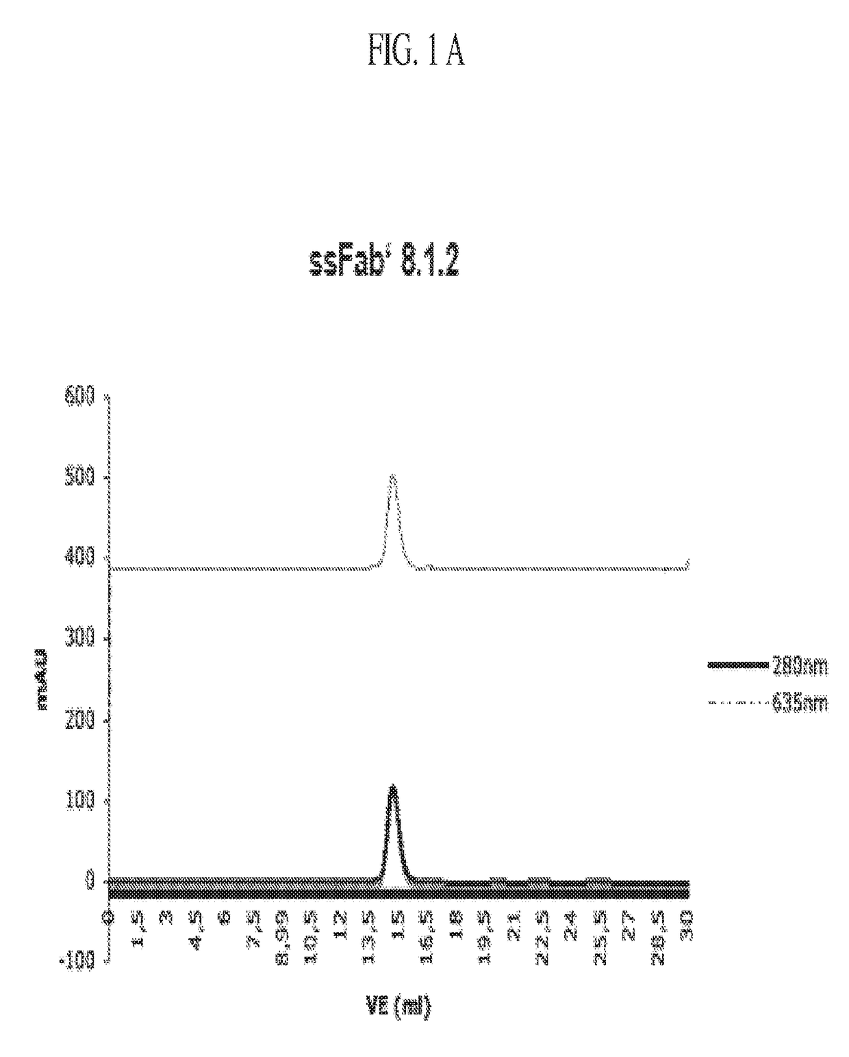 Detection of a polypeptide dimer by a bivalent binding agent