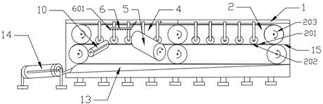 Belt type automatic sisal hemp scutching machine