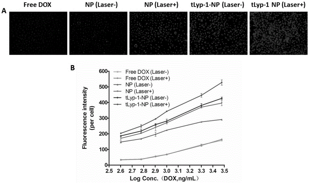Drug delivery system for targeting co-delivery of photosensitizer and chemotherapeutic drug