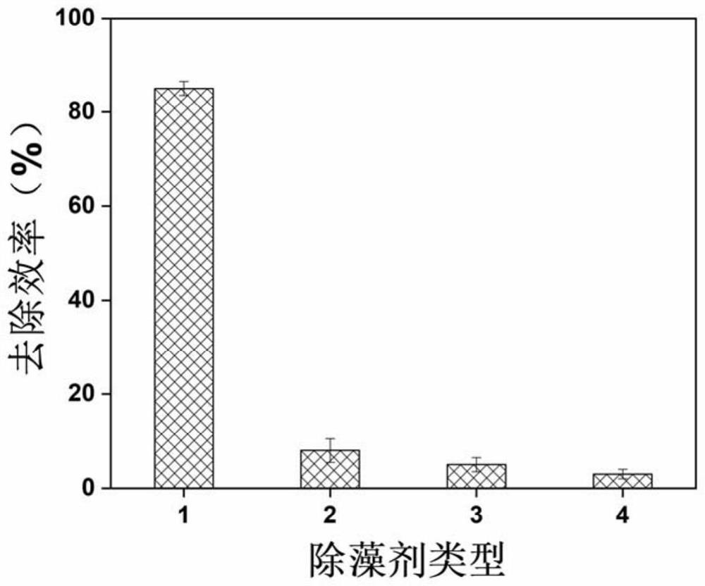 Red-tide algae algicide based on arbutin activated persulfate and application of algicide