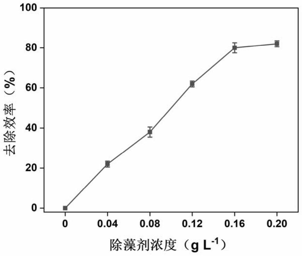 Red-tide algae algicide based on arbutin activated persulfate and application of algicide