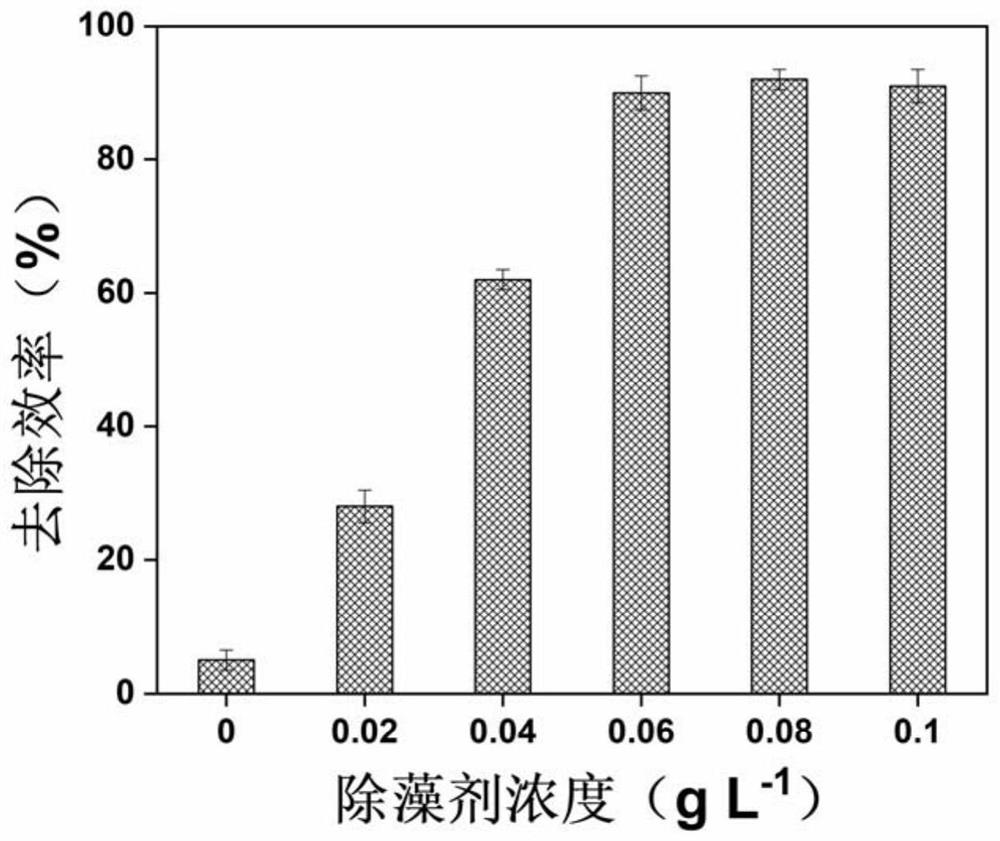 Red-tide algae algicide based on arbutin activated persulfate and application of algicide