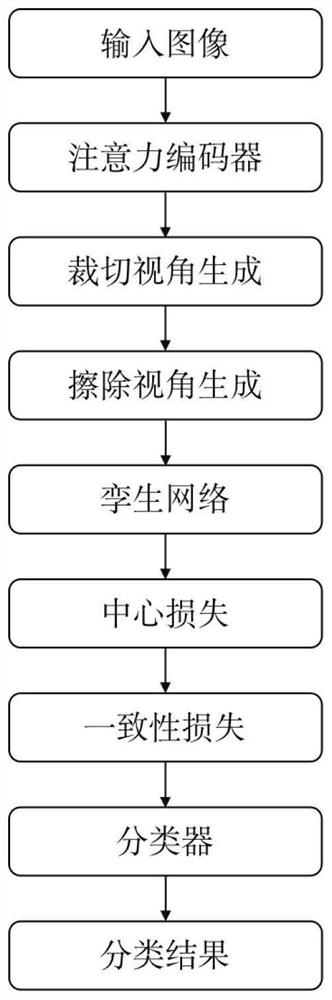 Self-supervised learning fine-grained image classification method based on twin network