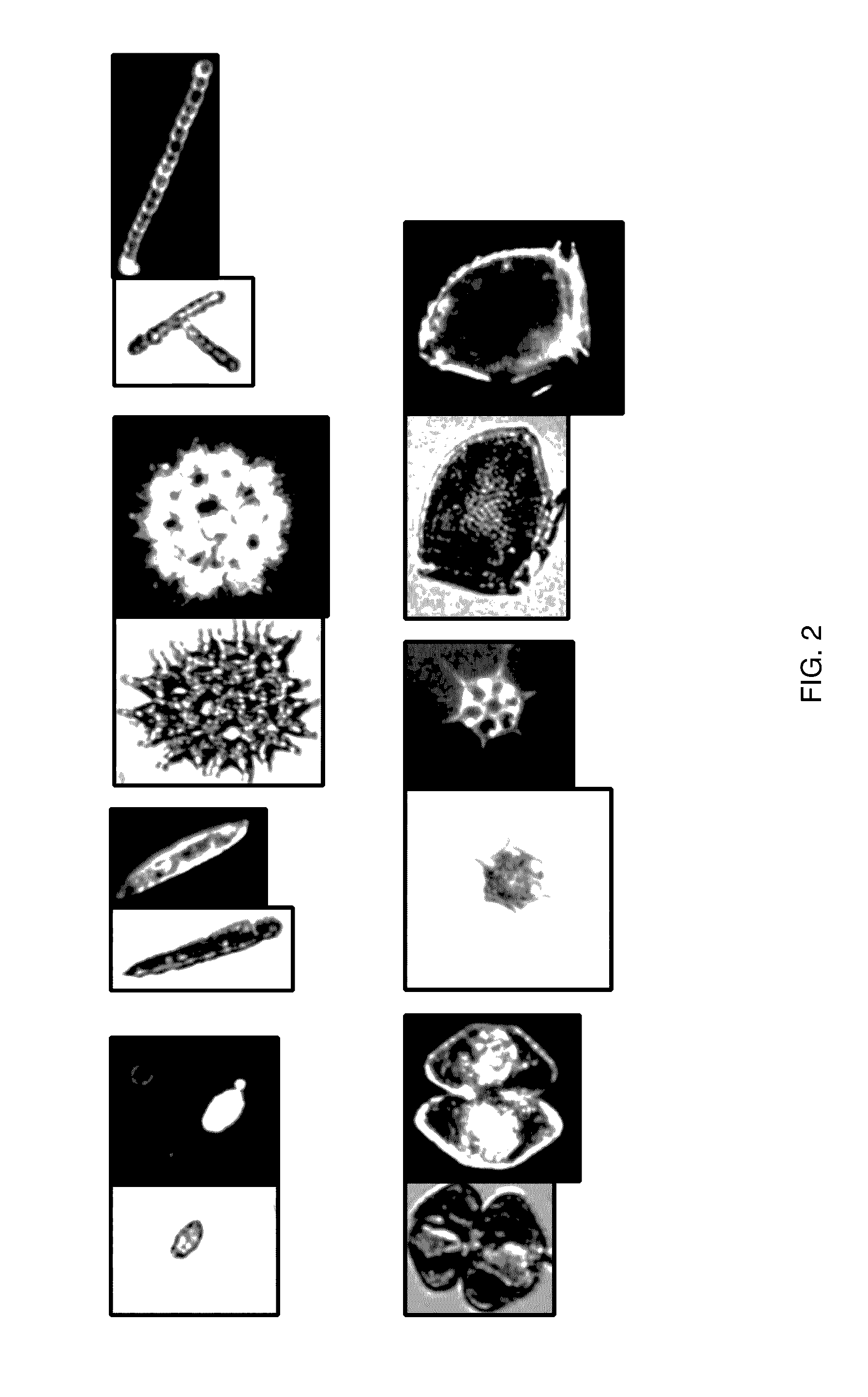 Dark field flow cytometry imaging system