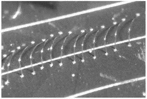 Ultrasonic welding method and photovoltaic module for welding through ultrasonic welding method