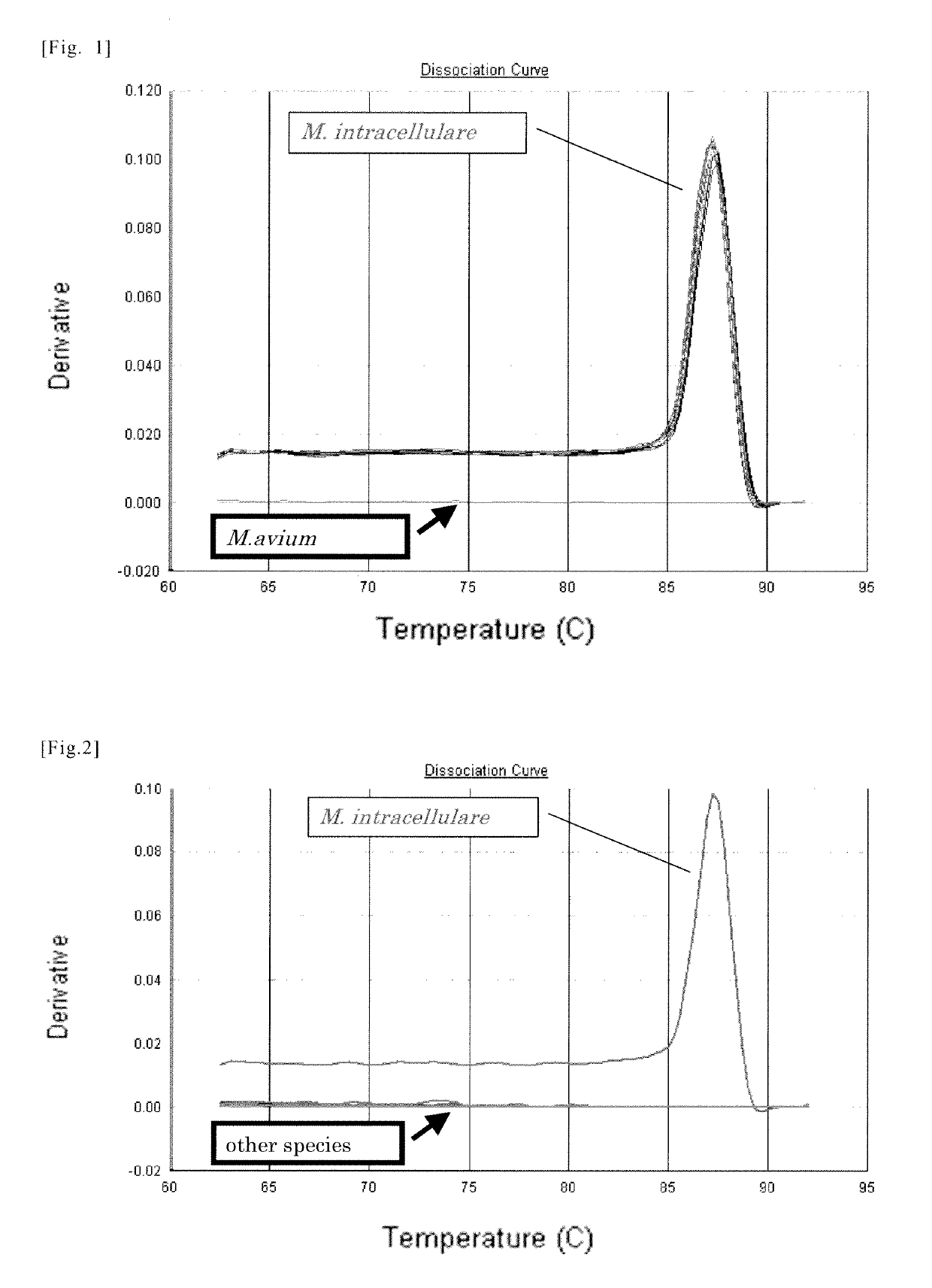 Primer and probe for detection of <i>Mycobacterium intracellulare</i>, and method for detection of <i>Mycobacterium intracellulare </i>using the primer or the probe