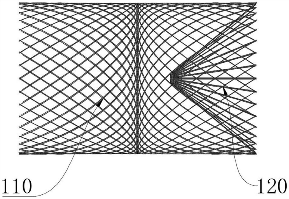 Brain protection filter assembly