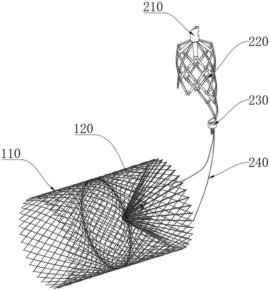 Brain protection filter assembly