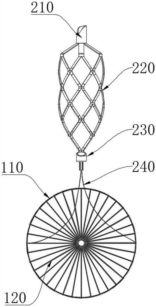 Brain protection filter assembly