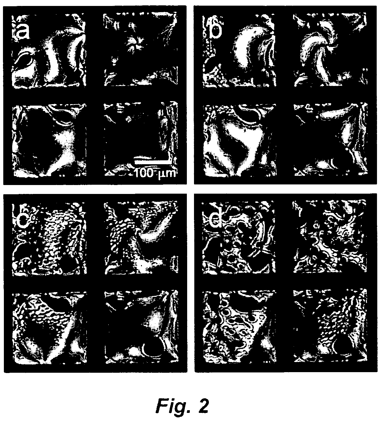 Methods and devices for detecting nucleic acid hybridization