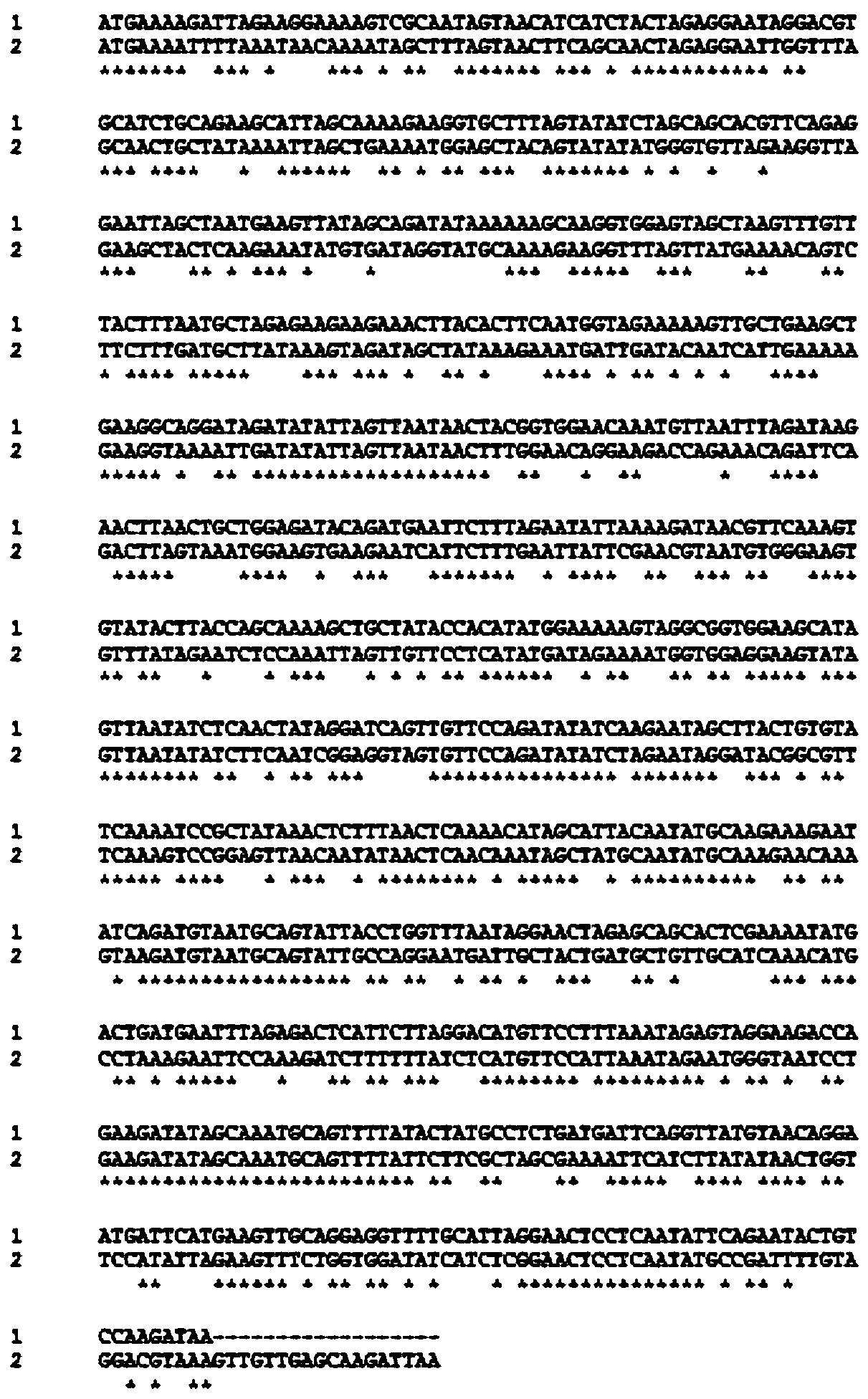 7α-hydroxysteroid dehydrogenase gene y1-a-1