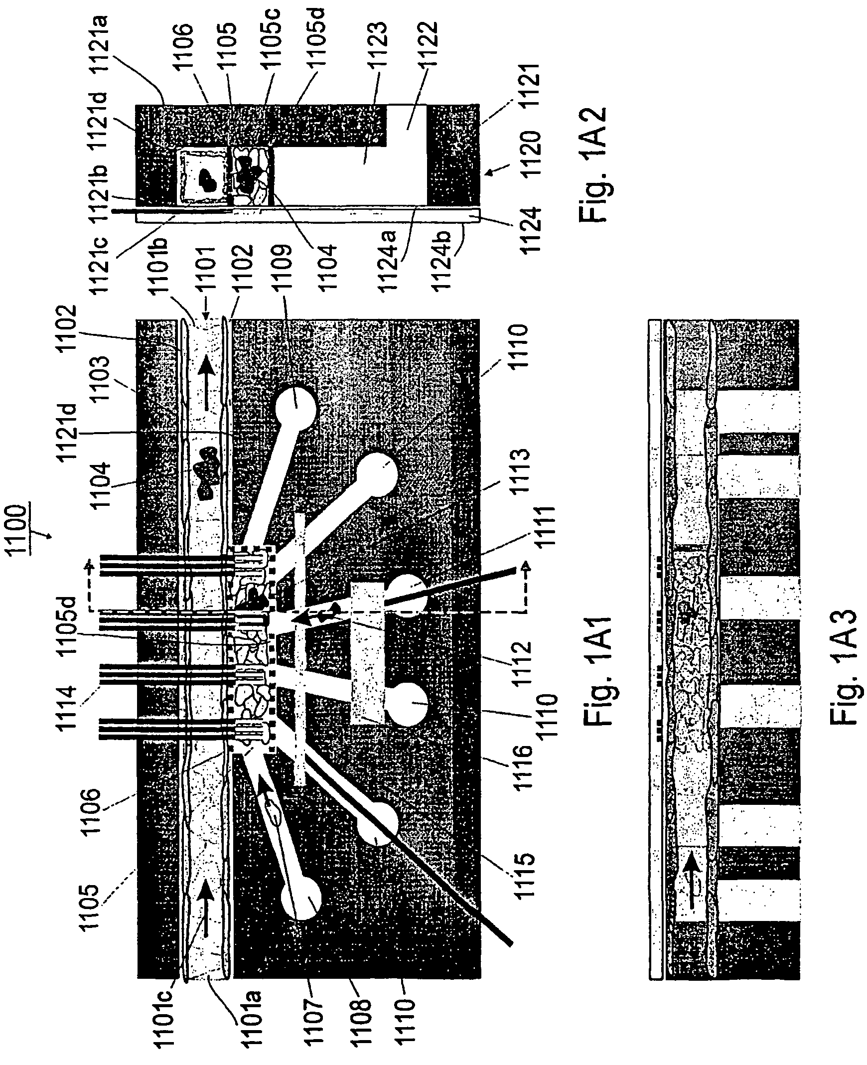 Capillary perfused bioreactors with multiple chambers