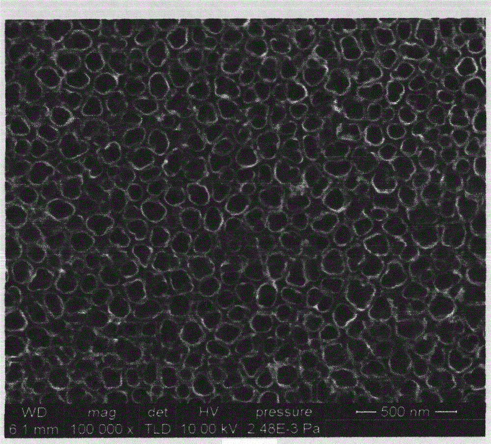 Method for directly growing nickel oxide and cobalt oxide and complex energy storage material thereof on titanium substrate