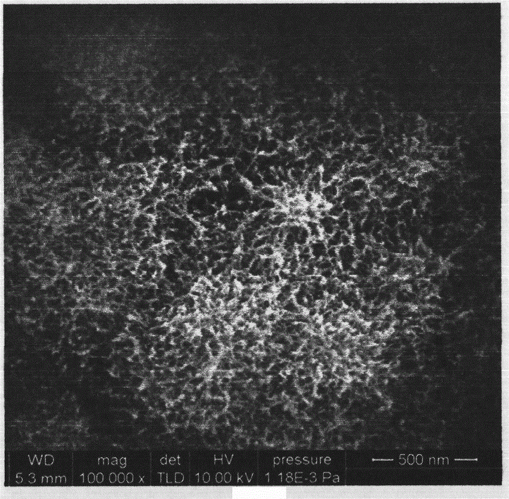 Method for directly growing nickel oxide and cobalt oxide and complex energy storage material thereof on titanium substrate