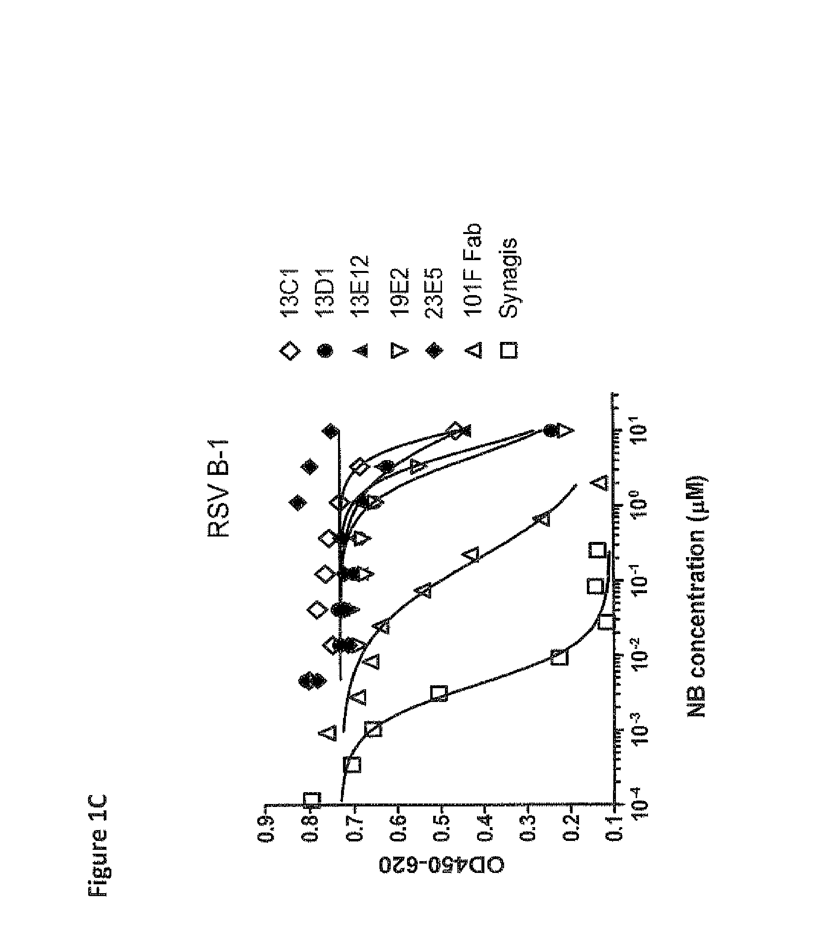 Amino acid sequences directed against human respiratory syncytial virus (HRSV) and polypeptides comprising the same for the prevention and/or treatment of respiratory tract infections