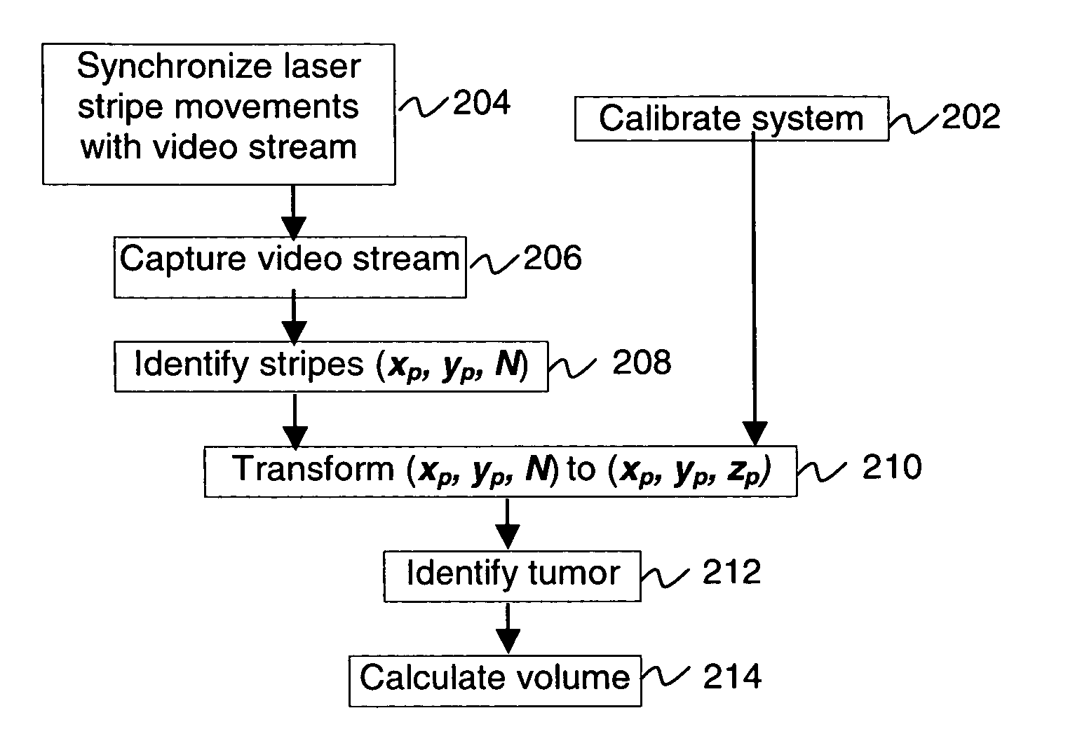 Methods and systems for measuring the size and volume of features on live tissues