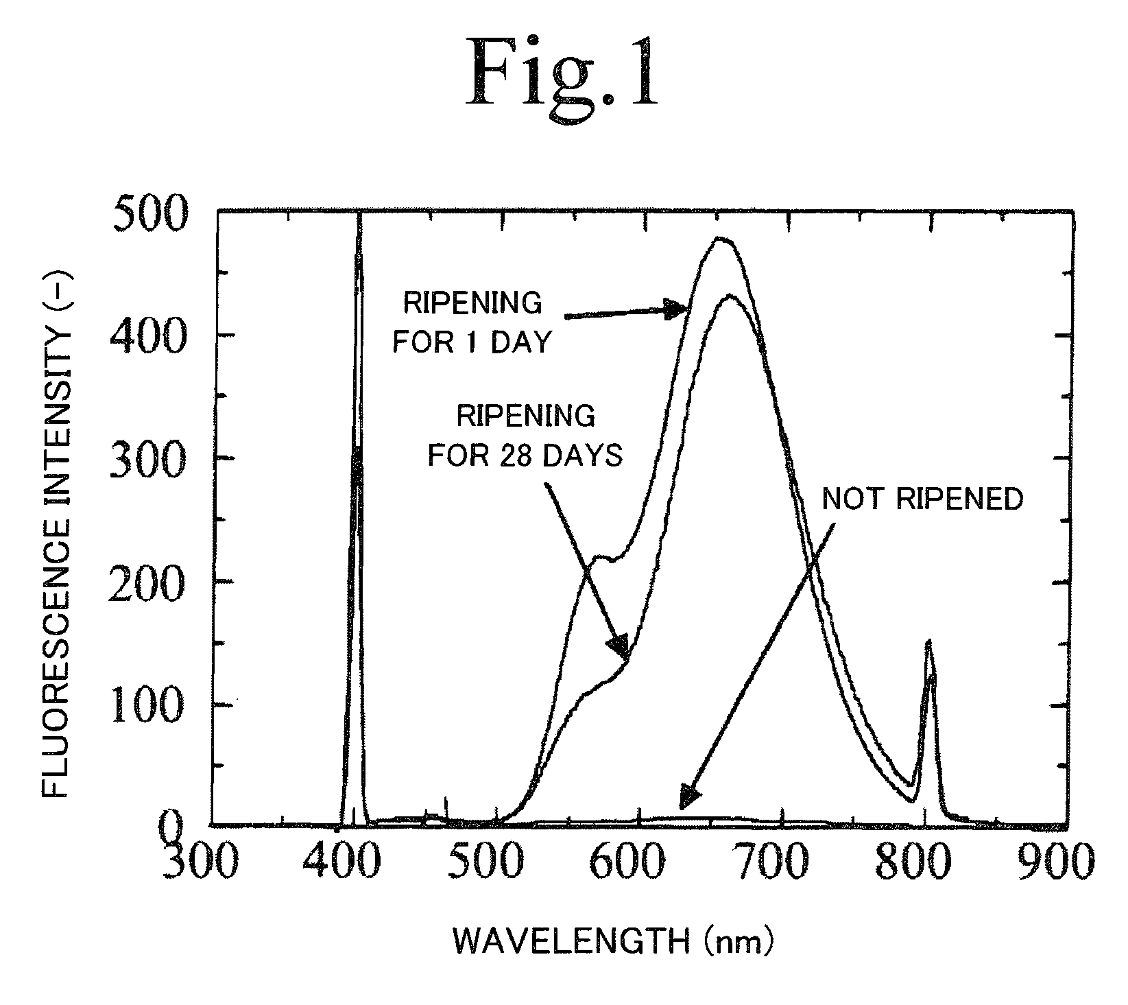 Fluorescent and method for producing the same
