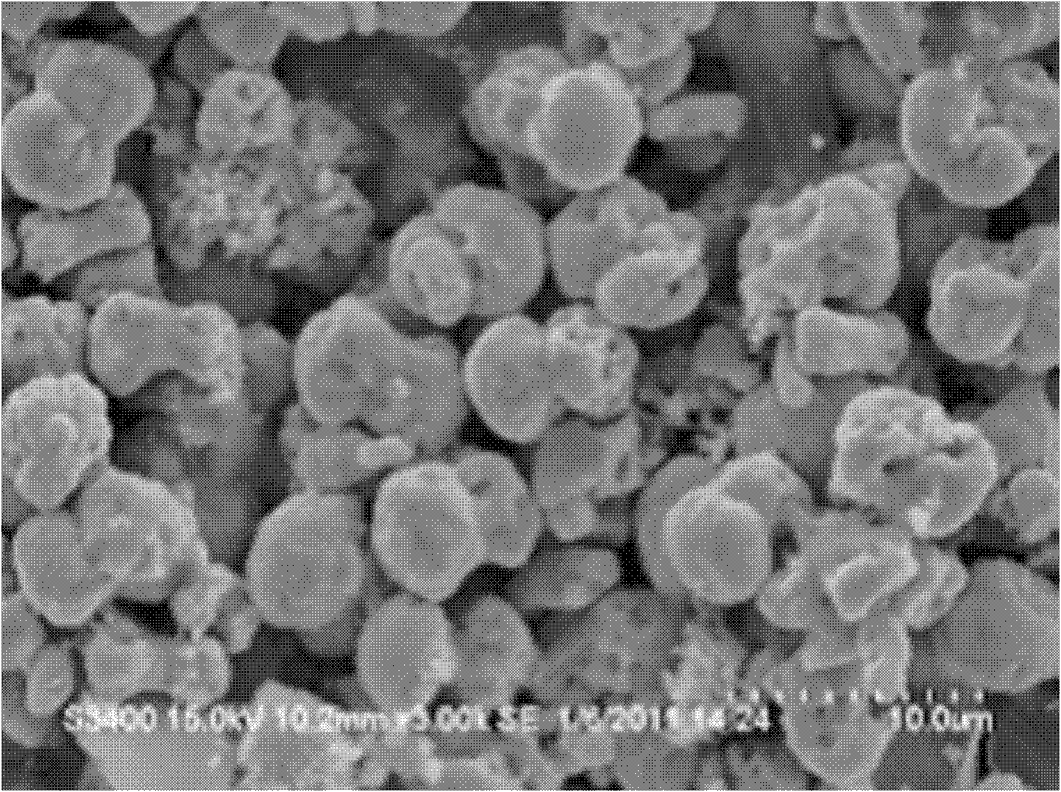 Preparation method of dumbbell-shaped bismuth vanadate