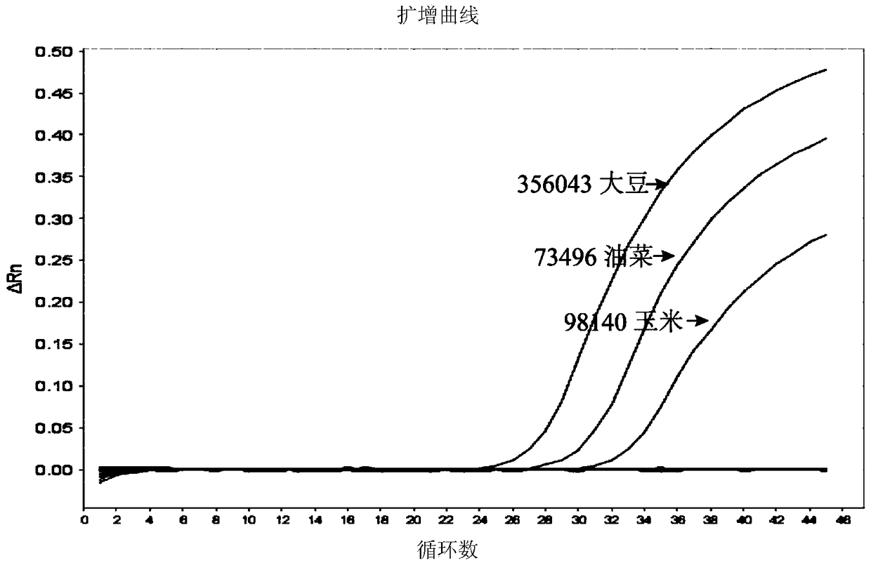 Primers, probes and method for real-time PCR accurate detection of transgenic plants containing gat-tpinii structure