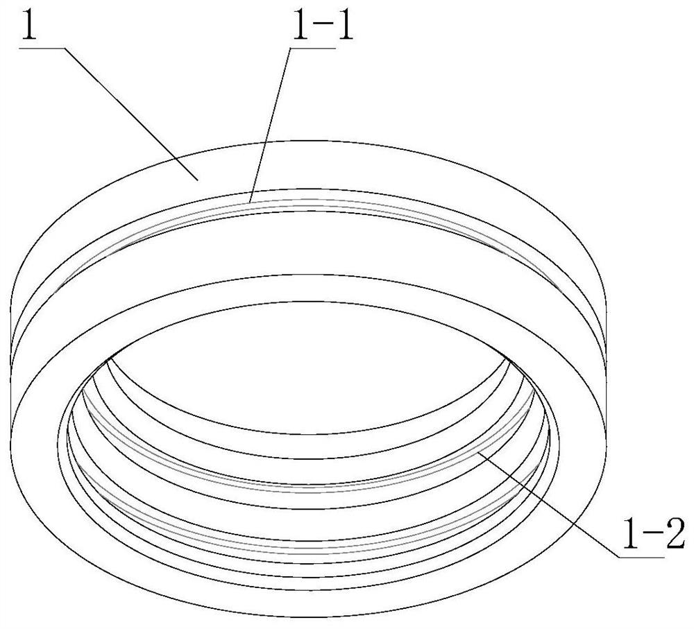 Shaking vacuum sealing device of PEEK (Polyether-Ether-Ketone) sealing framework