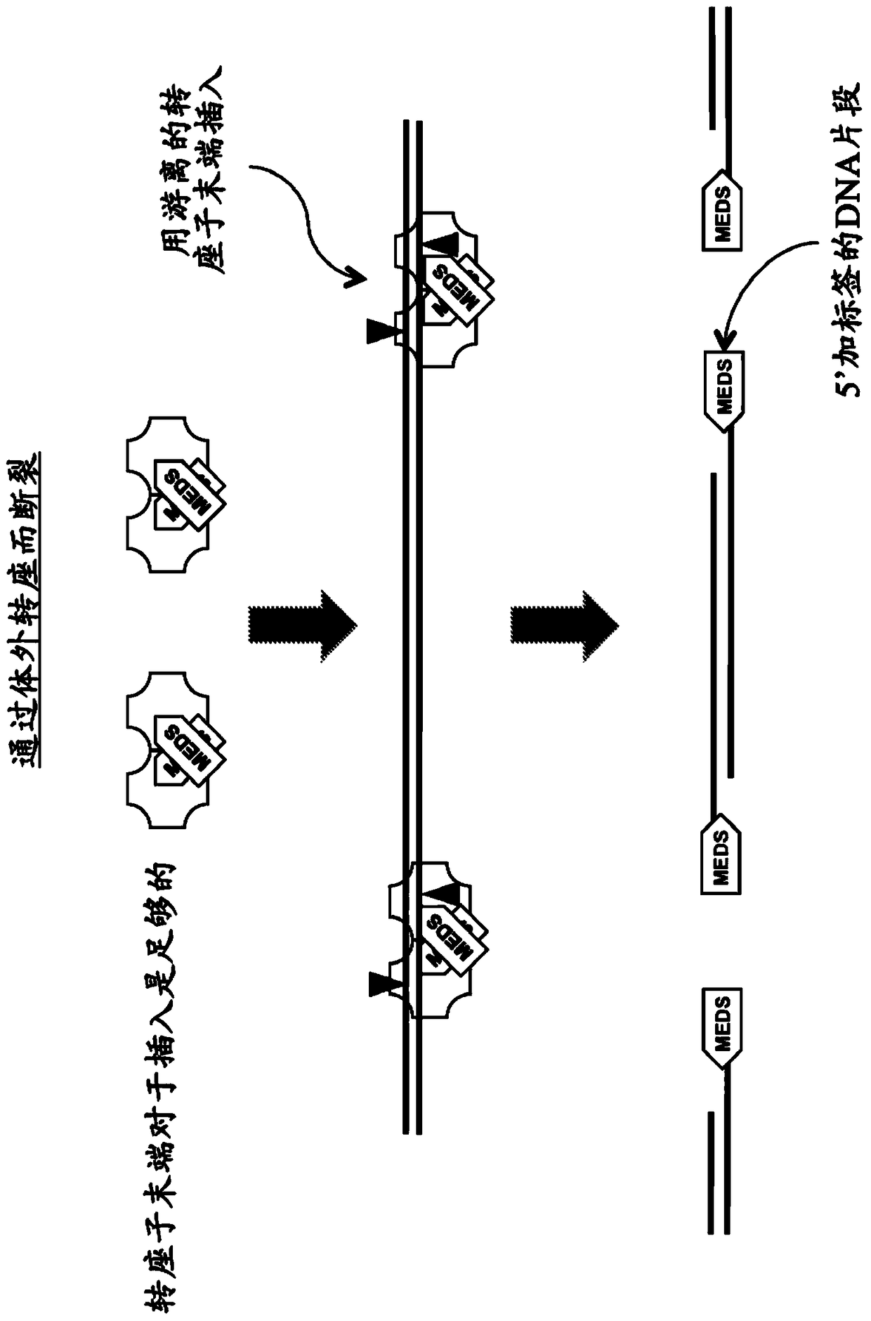 Kits for Modification of Nucleic Acids