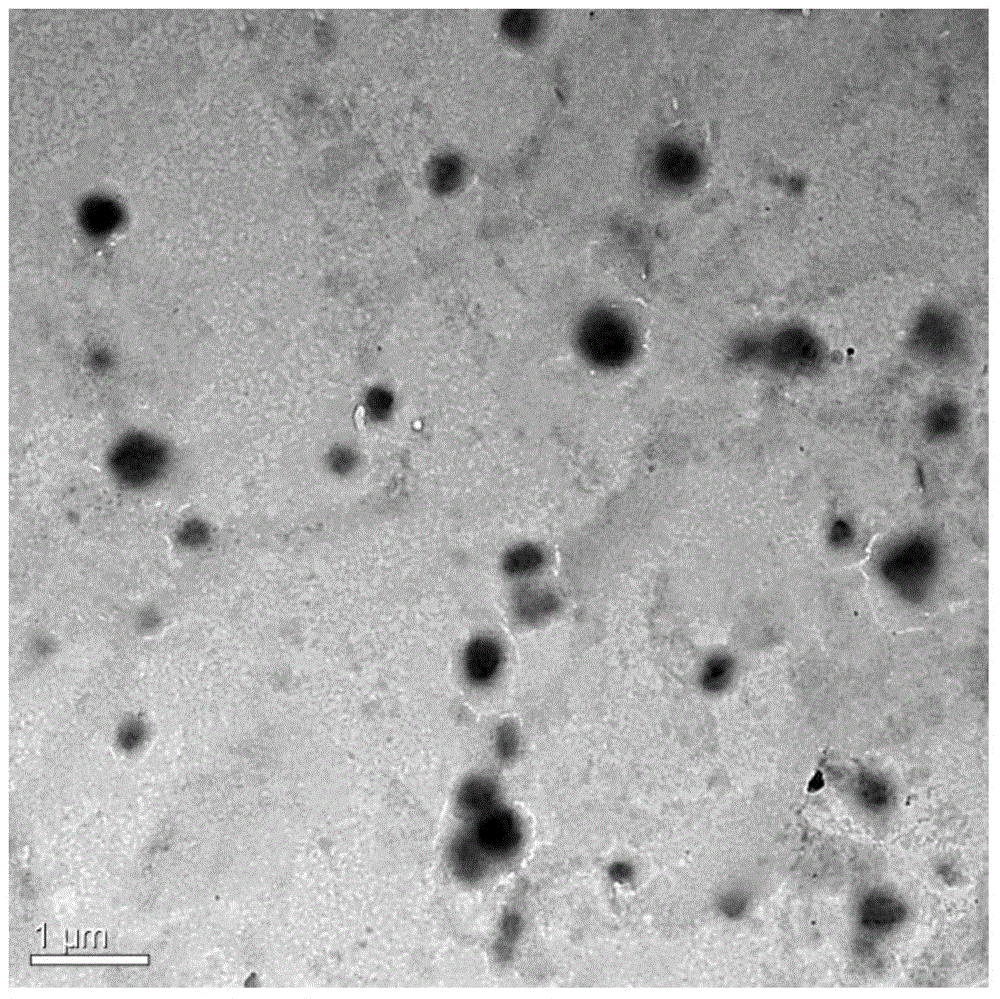 Preparation method and application of immobilized Aspergillus terreus lipase