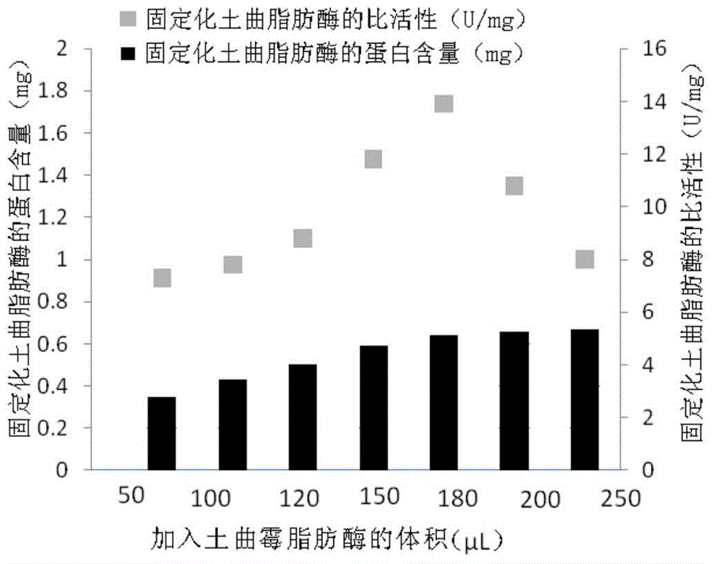 Preparation method and application of immobilized Aspergillus terreus lipase