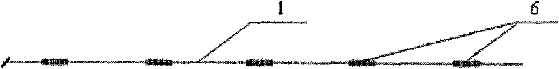 Temperature field measuring system in biological membrane type reactor based on optical fiber Bragg raster