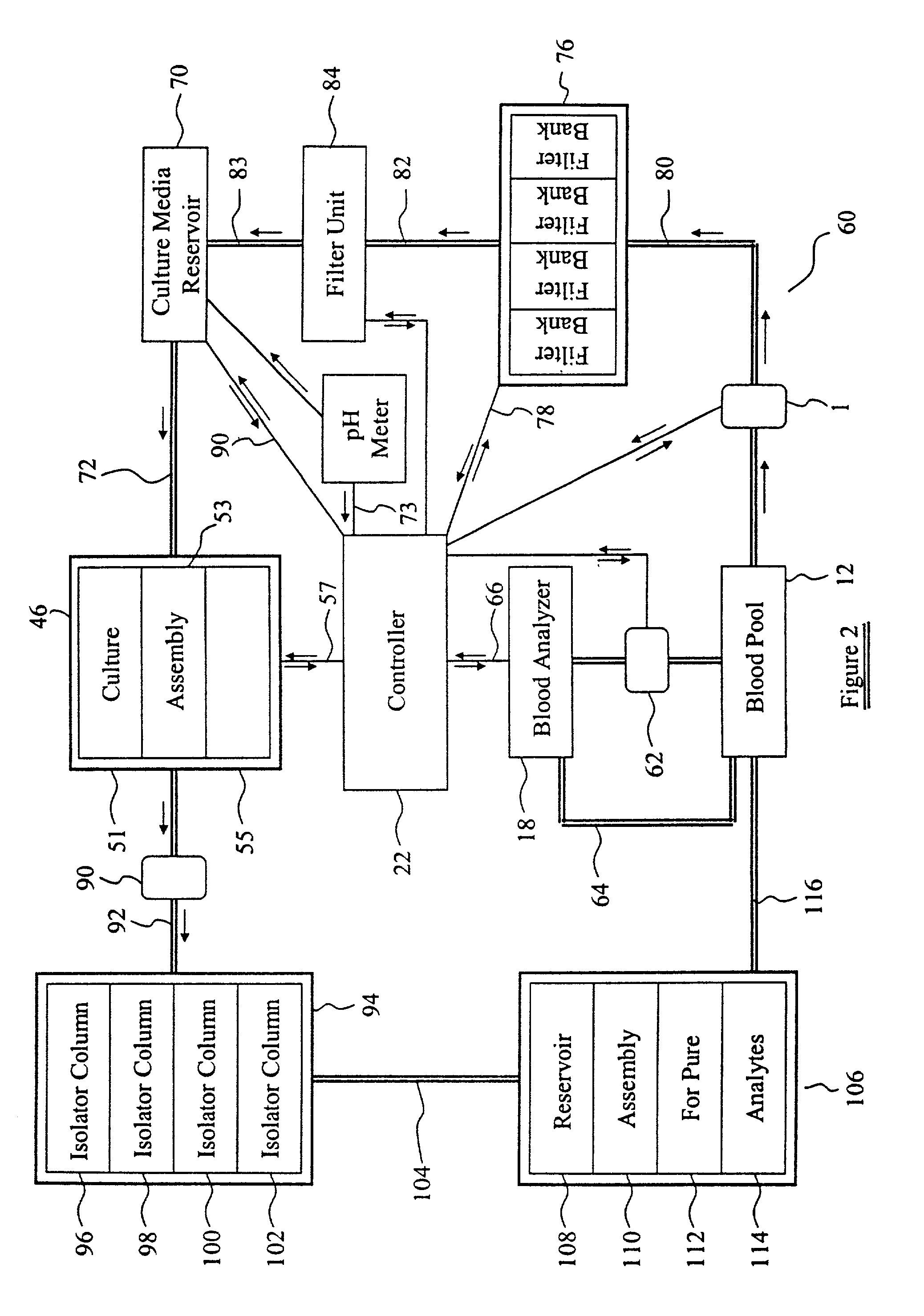 Process for identifying cancerous and/or metastatic cells of a living organism
