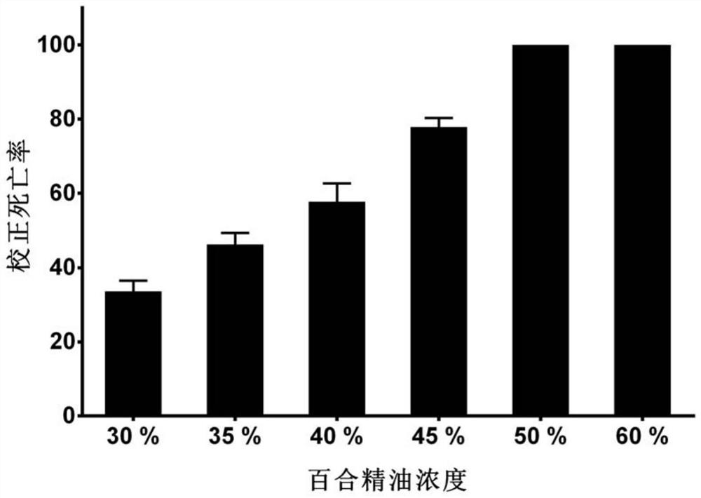 Application of lily essential oil in preparation of cockroach-killing agent