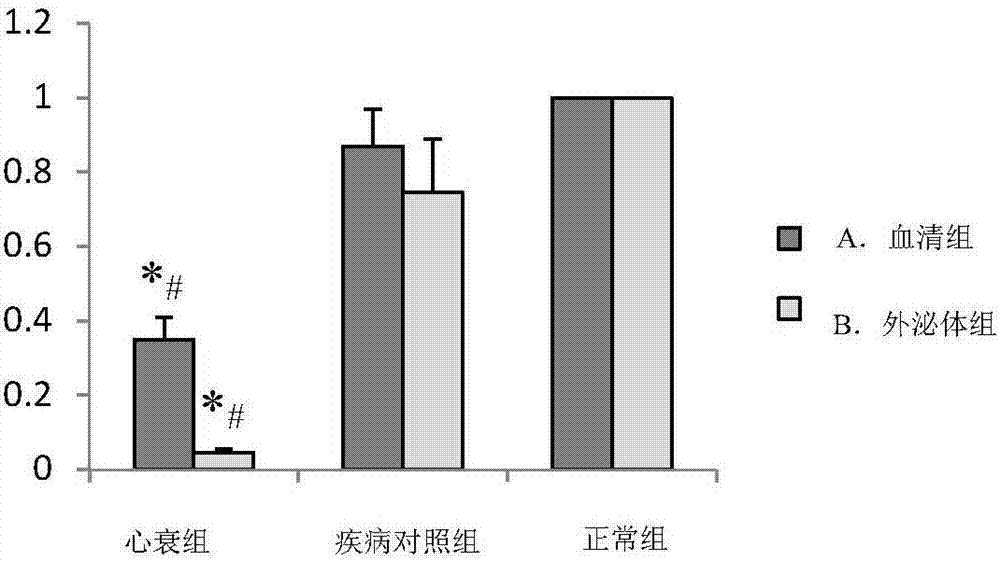 Application of small molecule RNAmiRNA-146a-5p to related disease risk diagnosis