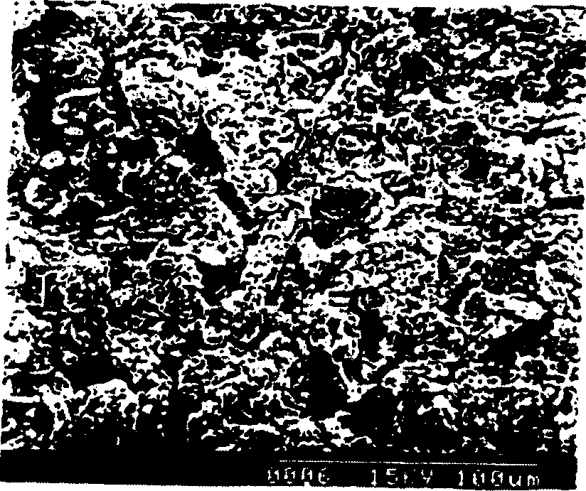 Filler composition, and preparing method and use thereof