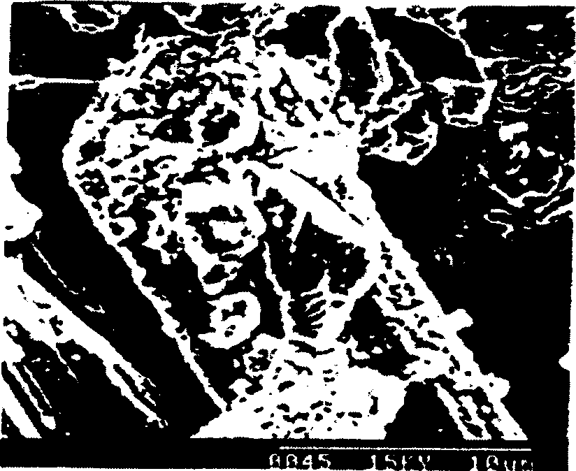 Filler composition, and preparing method and use thereof