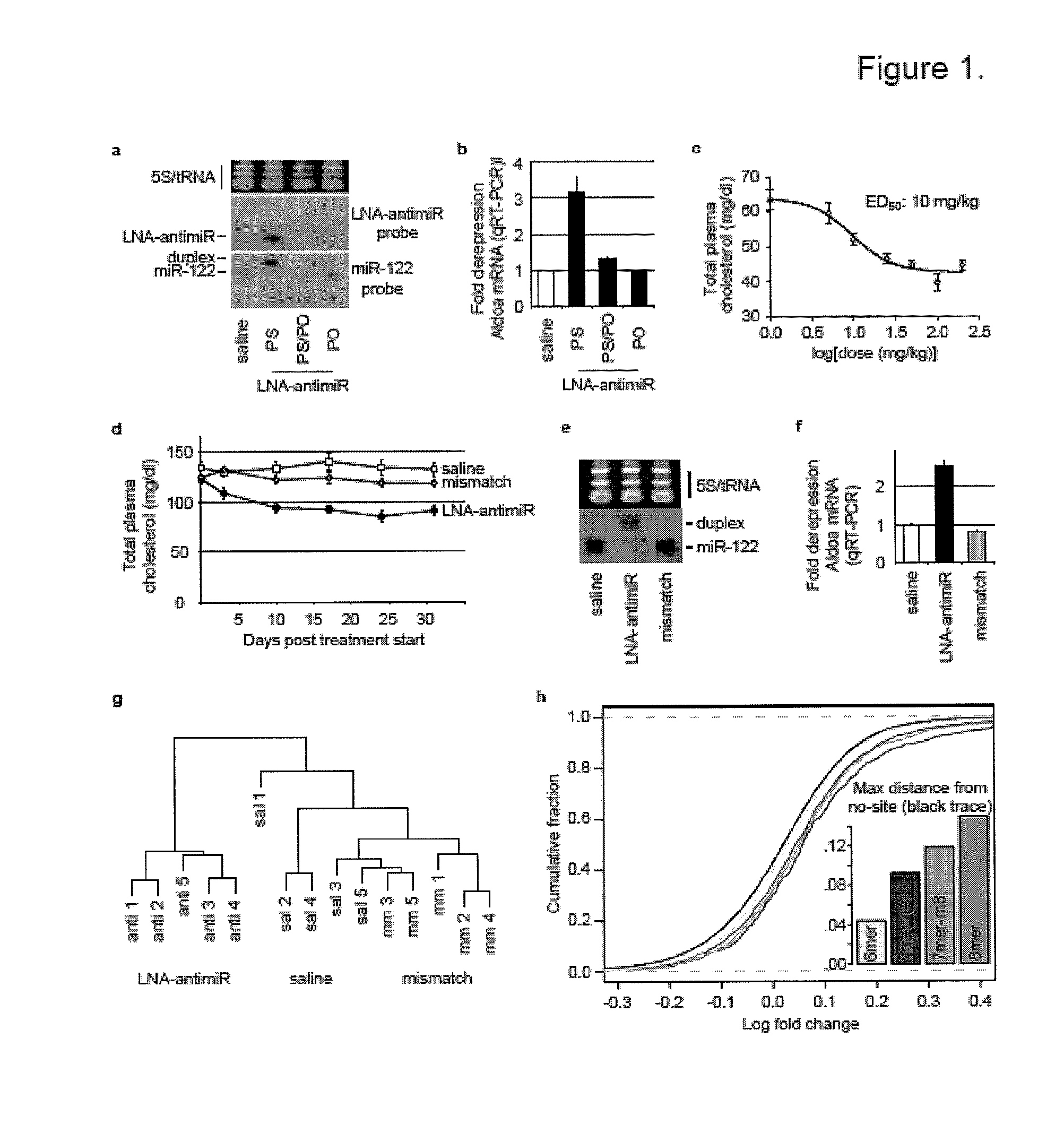 Pharmaceutical compositions for treatment of microRNA related diseases