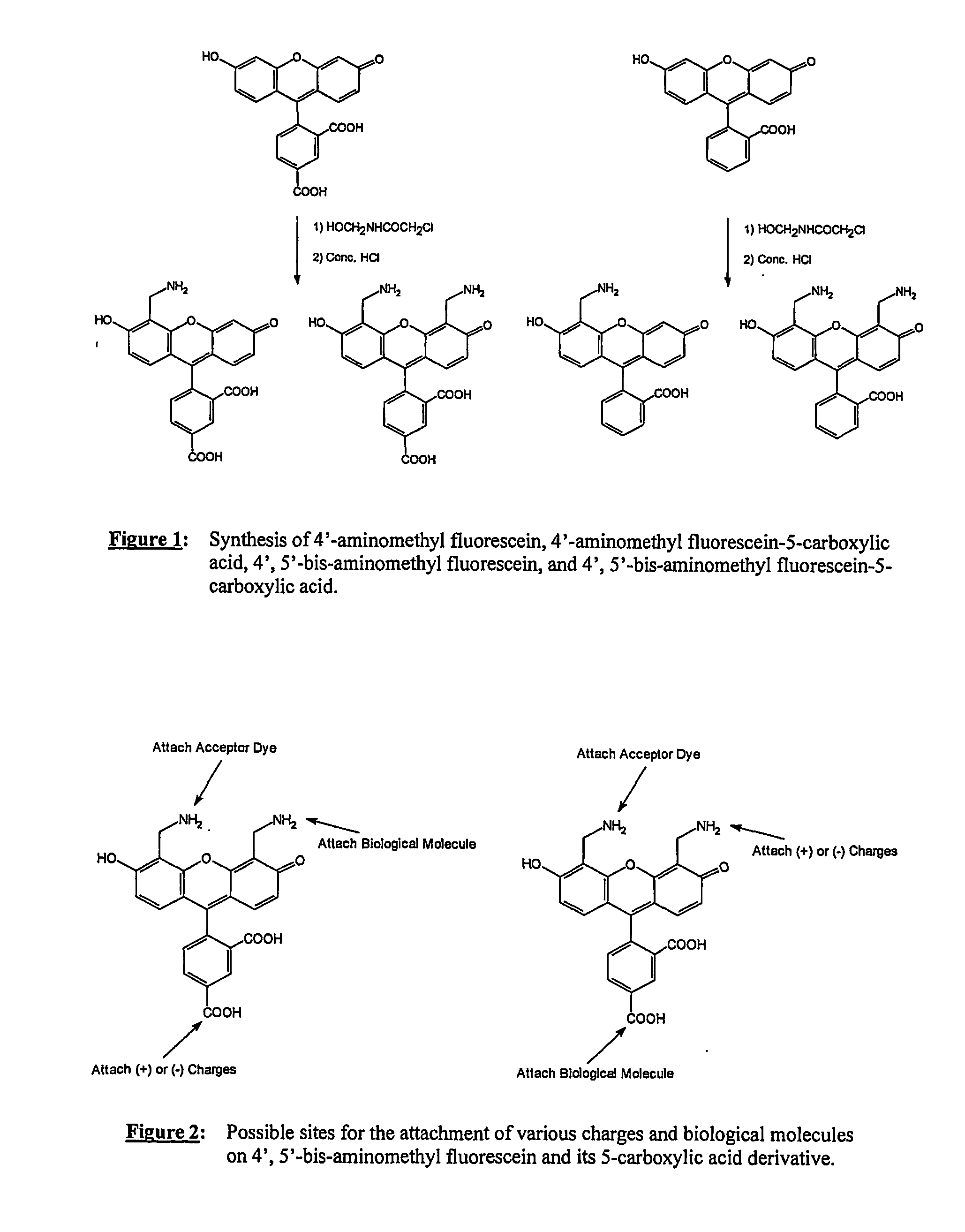 Energy transfer dyes, terminators and use thereof