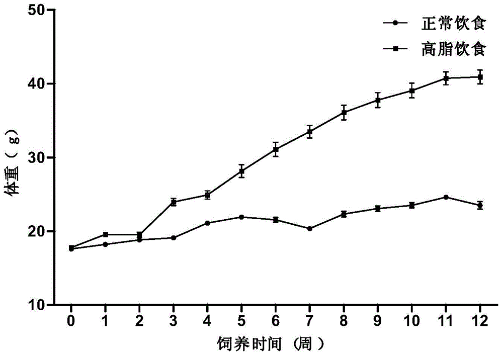 Method for establishing non-alcoholic fatty liver disease combined with viral hepatitis mouse model