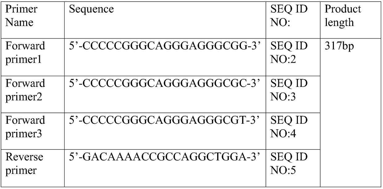 Molecular marker for detecting susceptibility of cervical cancer, kit and application