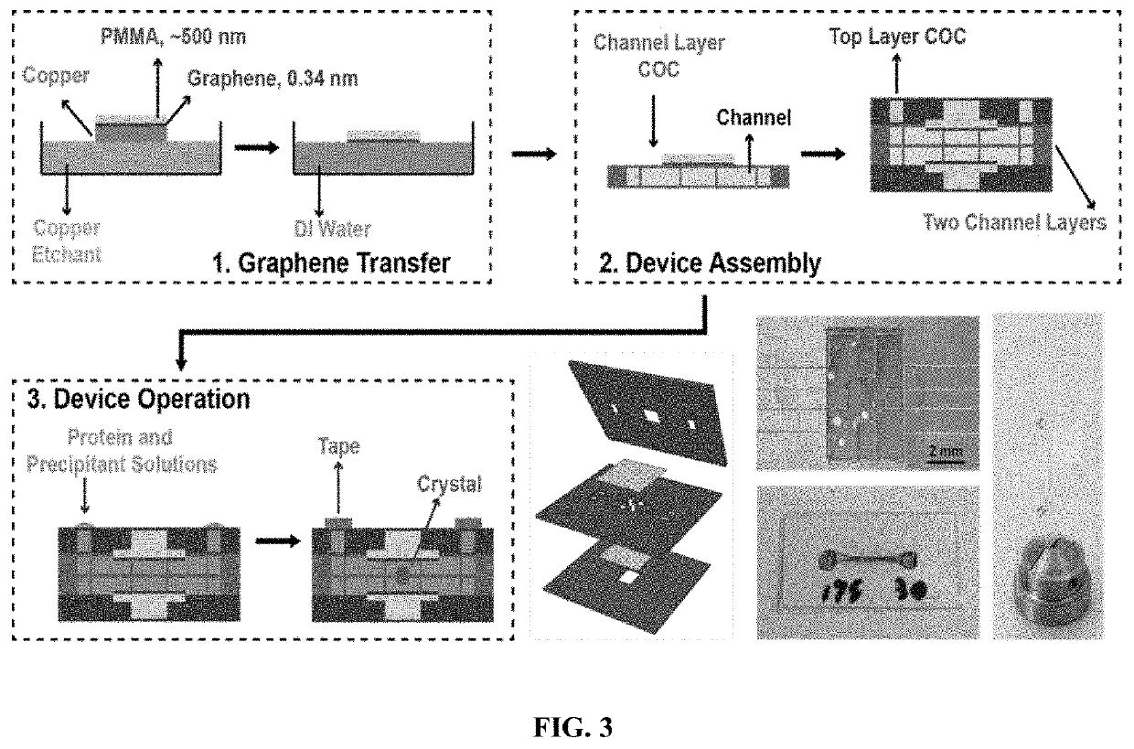 Graphene-based electro-microfluidic devices and methods for protein structural analysis
