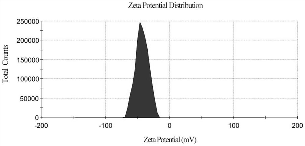 Nanometer delivery system capable of promoting permeation, relieving tumor hypoxia and targeting tumor cells as well as preparation method and application of nanometer delivery system