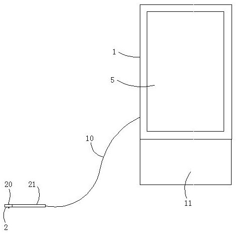 A tongue vein detection device and detection method