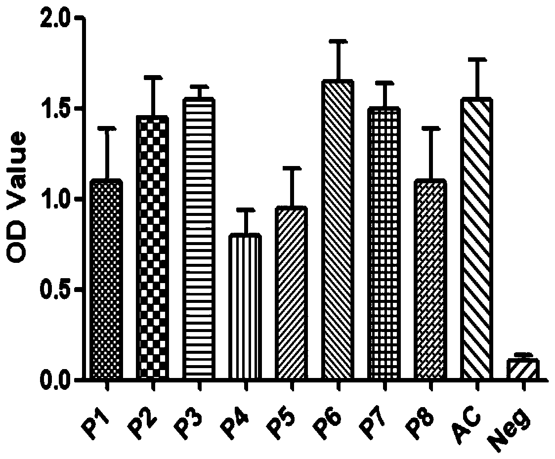 A kind of porcine circular synthetic peptide vaccine and its preparation method and application