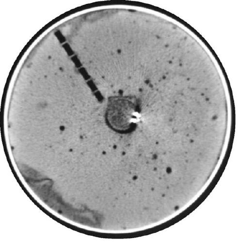 Method of Analyzing Expansion Mechanism of Anchor Body with Different Contents of Expansion Agent Using CT Scanning