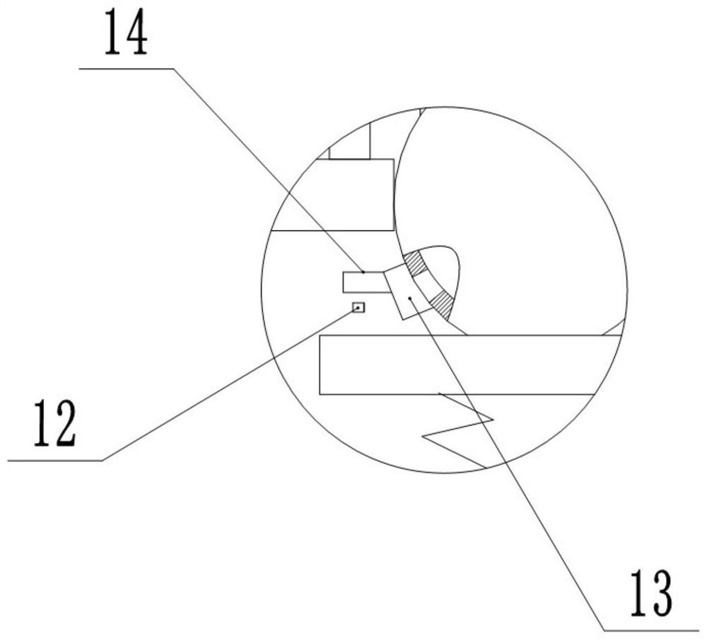 Codonopsis seed screening device