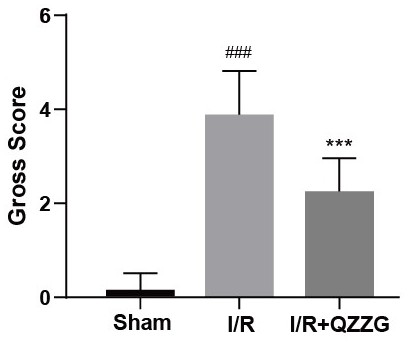 Application of piceatannol-3'-O-beta-D-glucopyranoside in treatment of small intestine ischemia/reperfusion injury