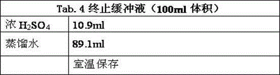 Amino acid sequence for detecting lung cancer marker MYC epitope and application