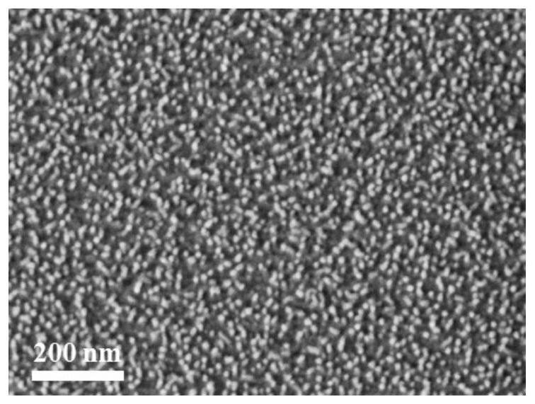 Silica nanoarray with controllable morphology, preparation method and application thereof