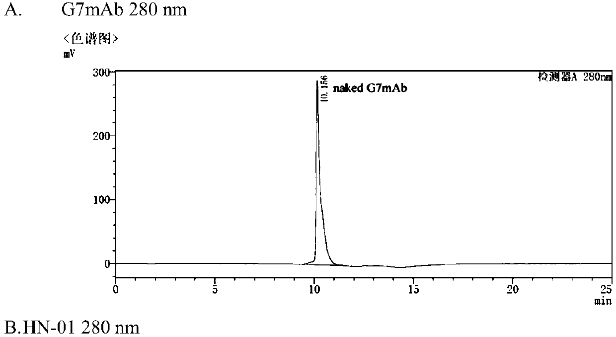 CD24 monoclonal antibody and diethylamine azo onium diol salt targeting conjugate and application thereof