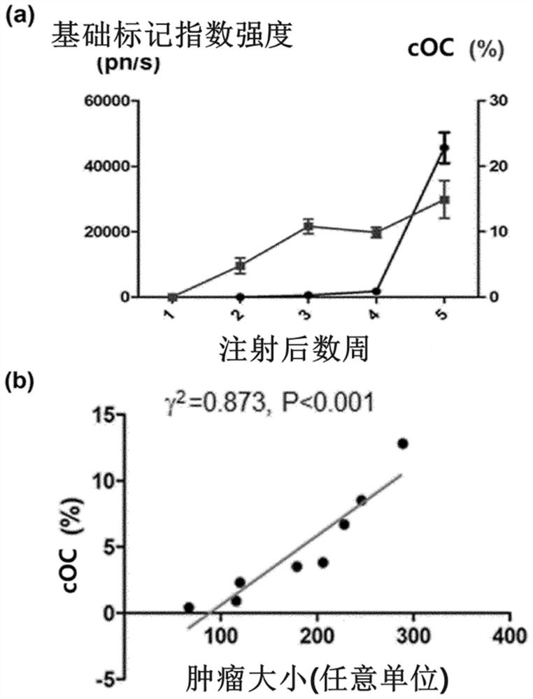 Composition for diagnosis of bone metastasis of cancer and kit comprising same