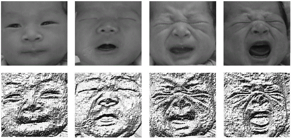 Newborn-painful-expression recognition method based on dual-channel-characteristic deep learning