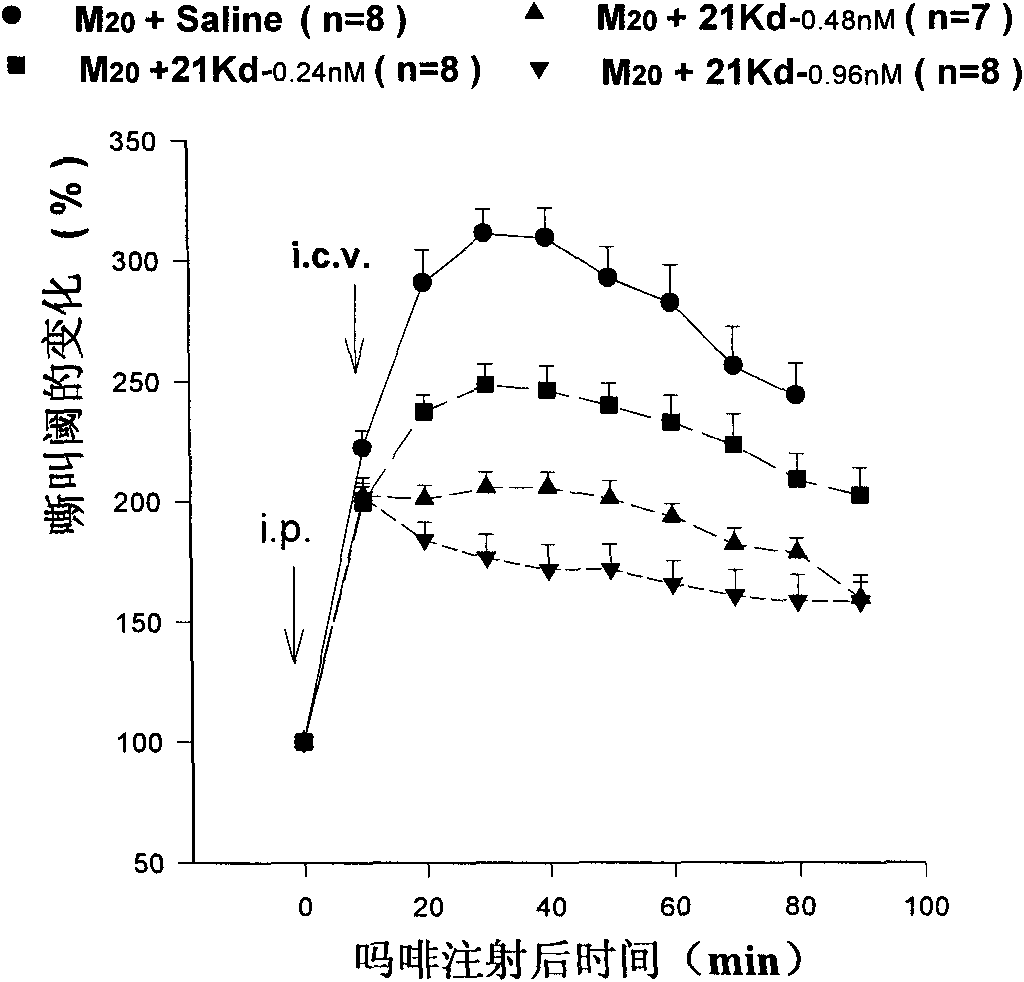 Anti-opioid peptide antagonist peptide and use thereof